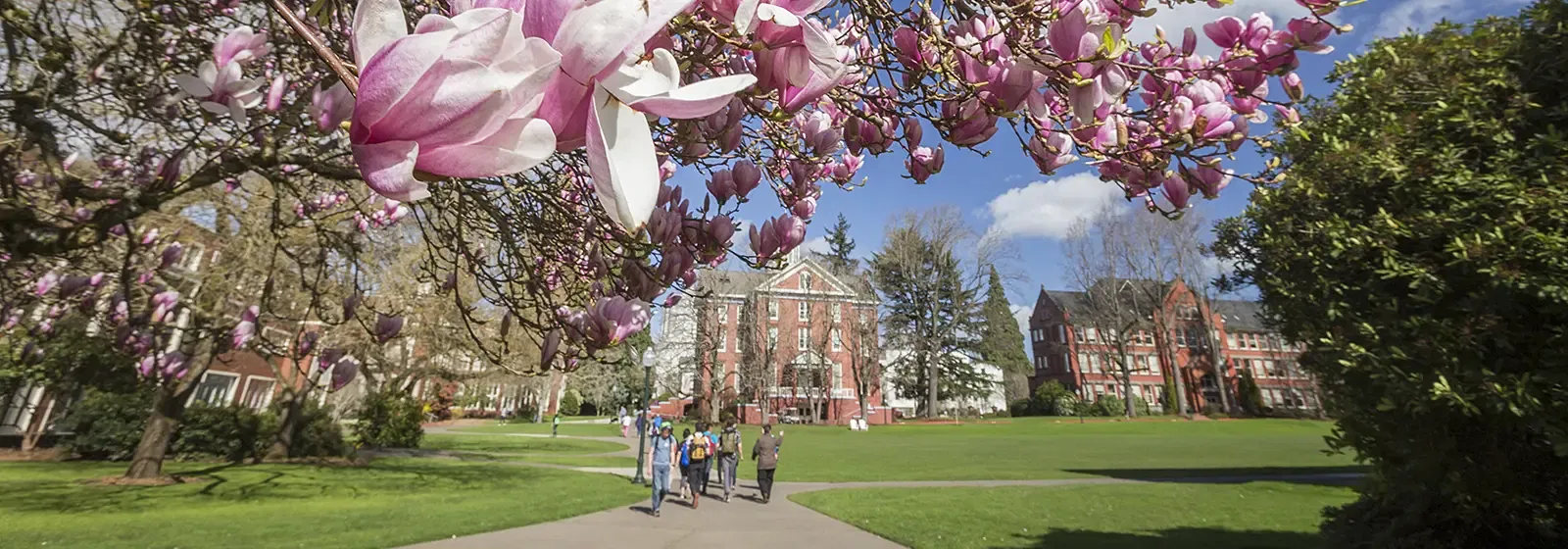 Willamette University Salem campus in the spring including a flowering tree and students walking in the Quad.