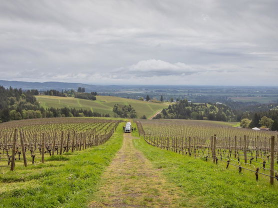 Argyle Winery in Oregon