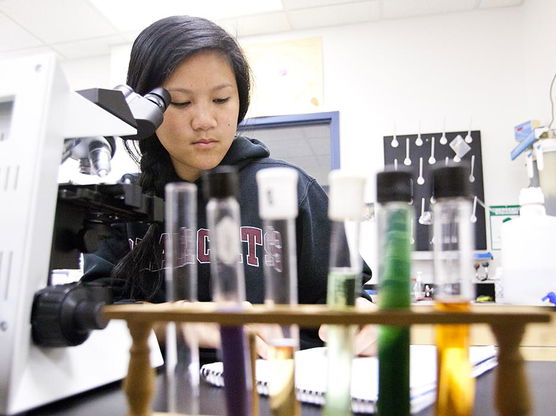 Student working in the lab