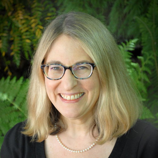 Headshot of Professor Laura Appleman