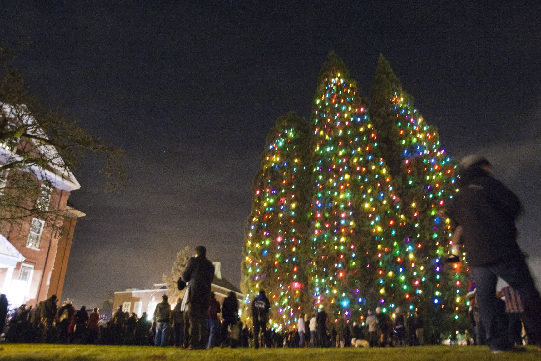 Star Tree Lighting