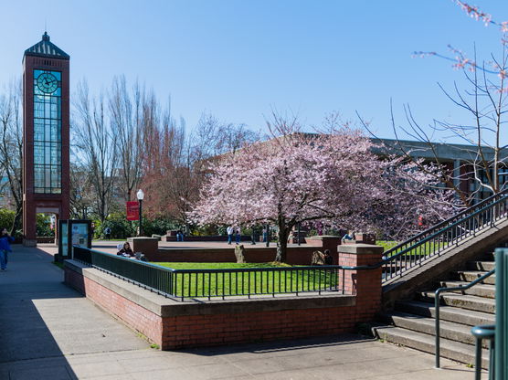 A photo of the Willamette campus