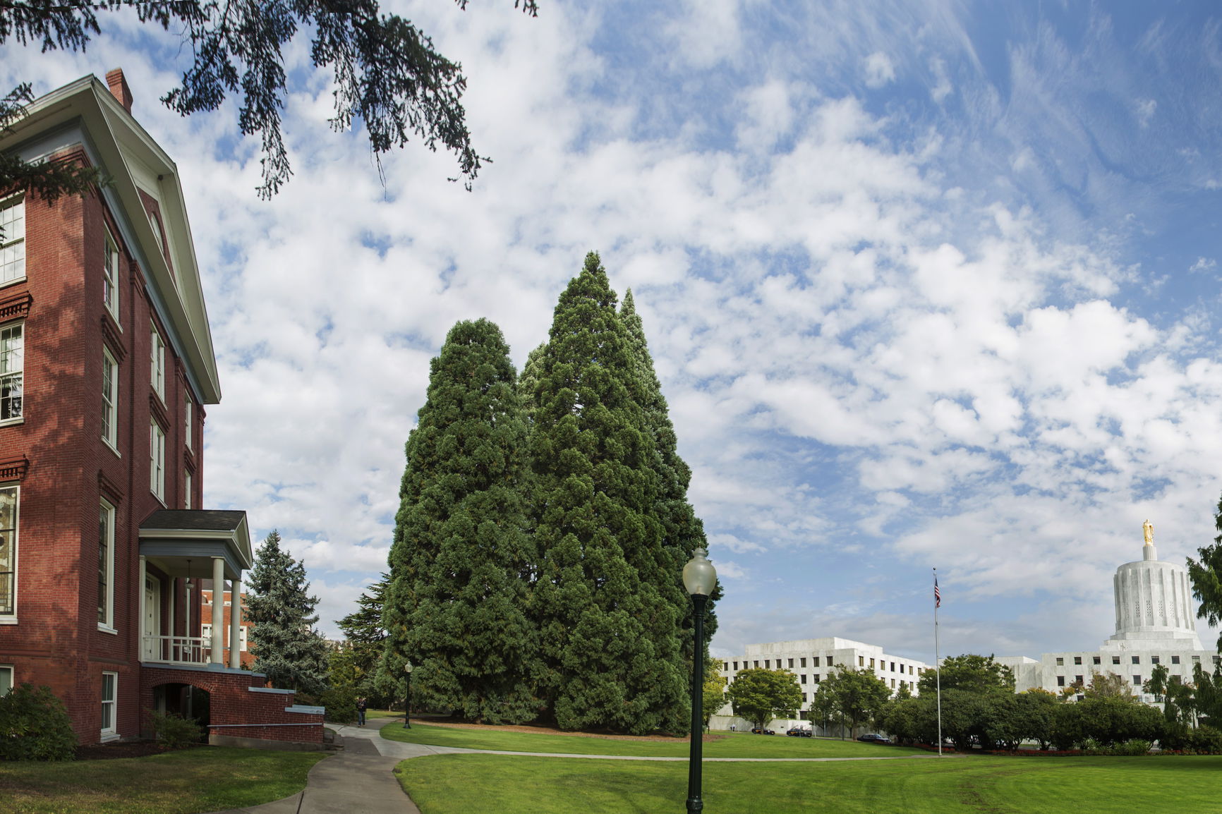 The Star Trees at Willamette University flanked by Waller Hall and the Oregon State Capitol Building