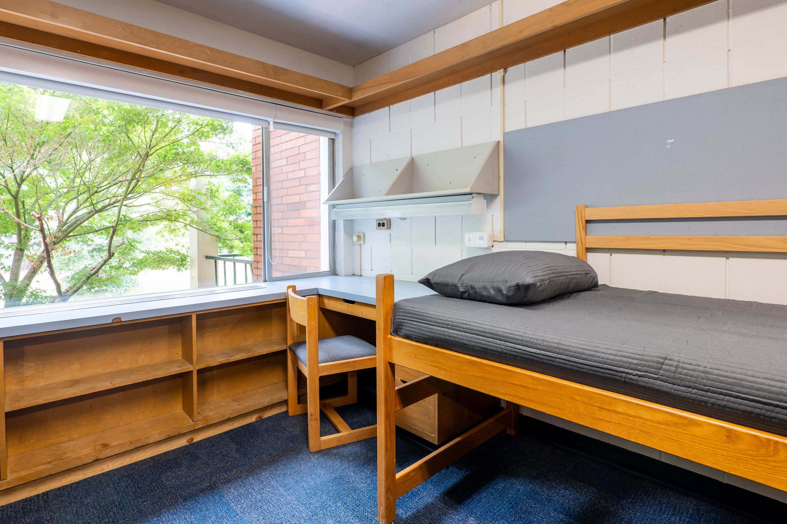 One side of a double room with a desk, bed, shelves, and chair