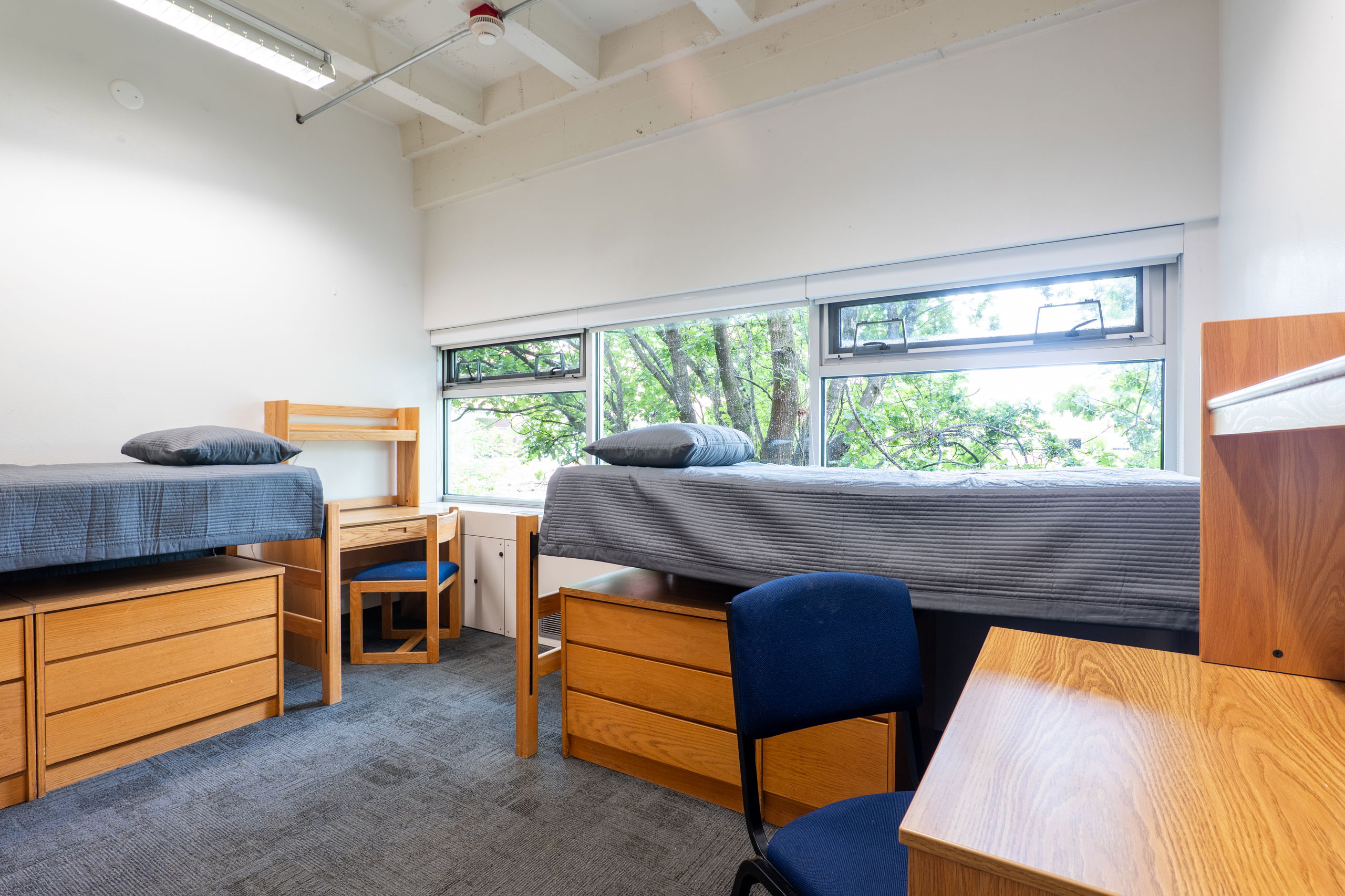 Image of a double room showing dresser, beds, desks, and chairs