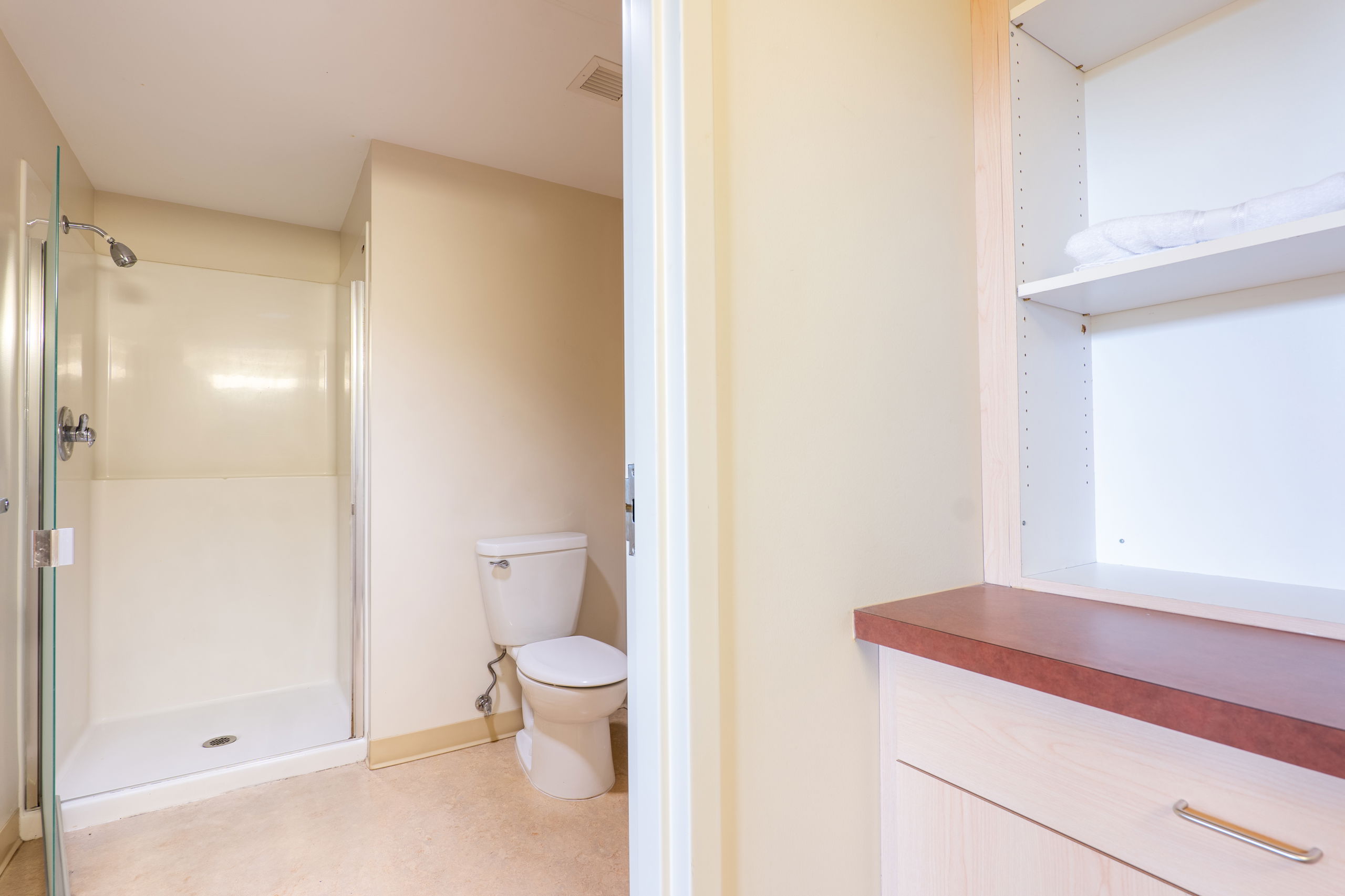 Bathroom with toilet and sink and shelving storage area