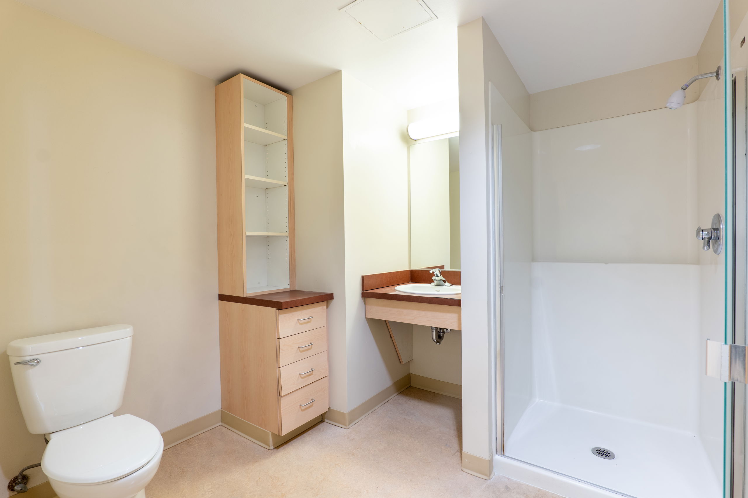 Kaneko bathroom showing a sink, shelves, toilet, and shower