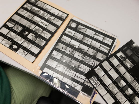 Three sheets of photography negatives lay on a white table