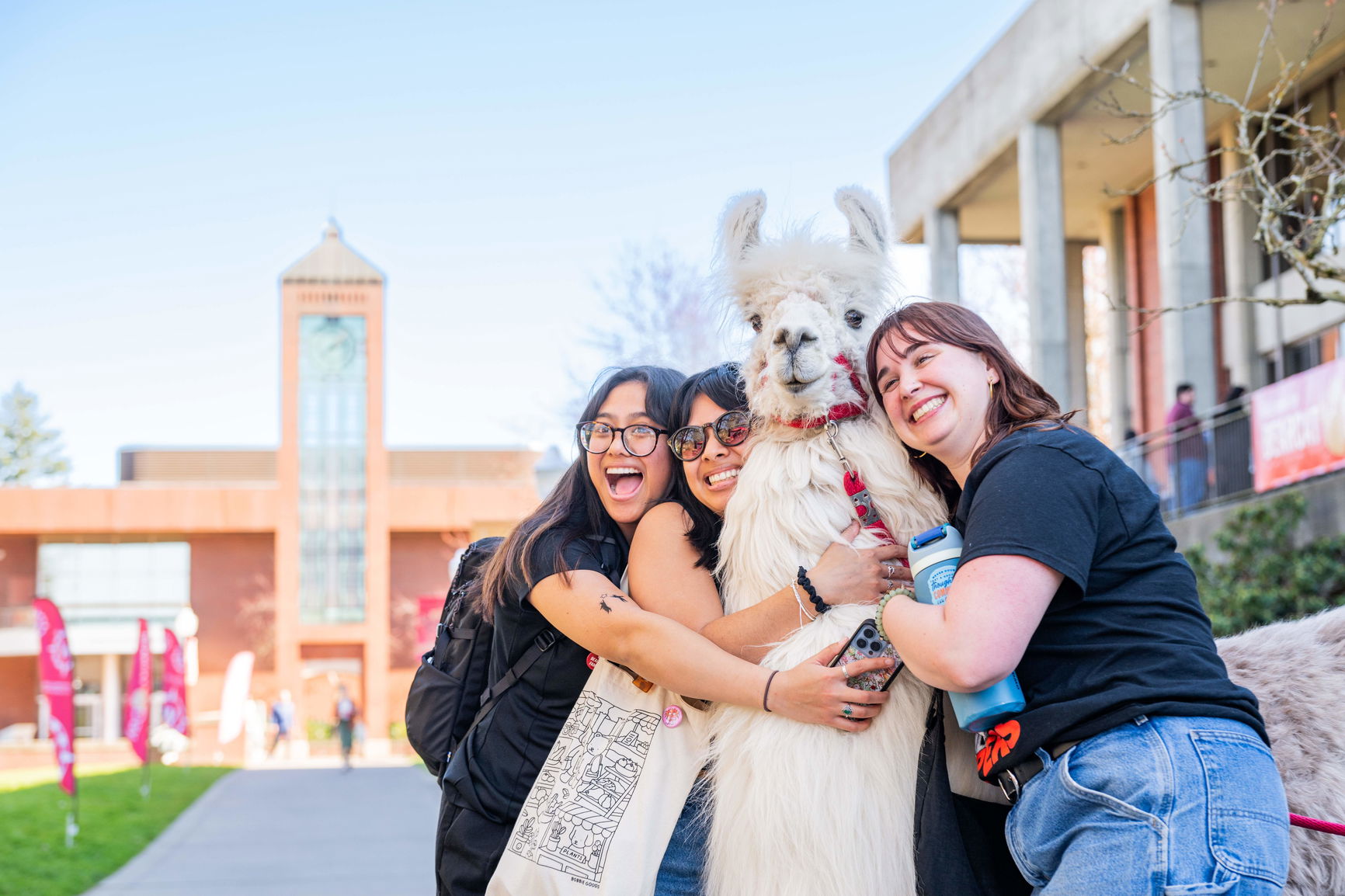 Willamette students hugging a llama. 