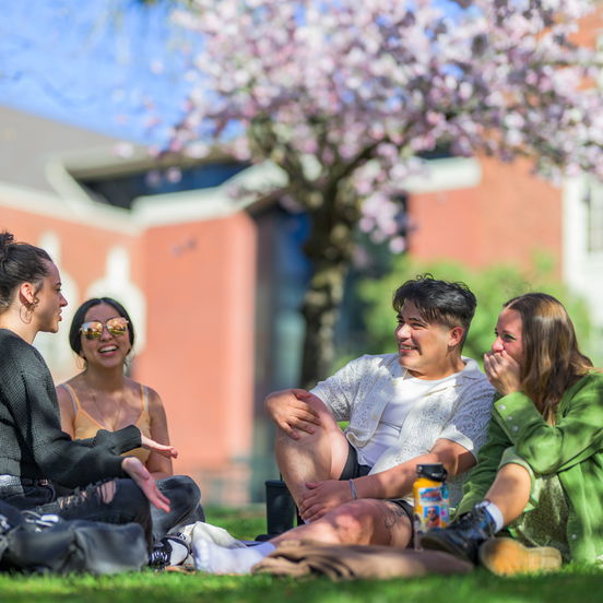 A group of Willamette students sit on the grass on campus in front of a cherry blossom tree, talking and laughing