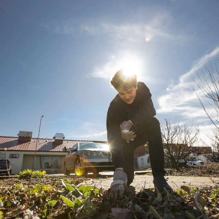 A student working in a garden