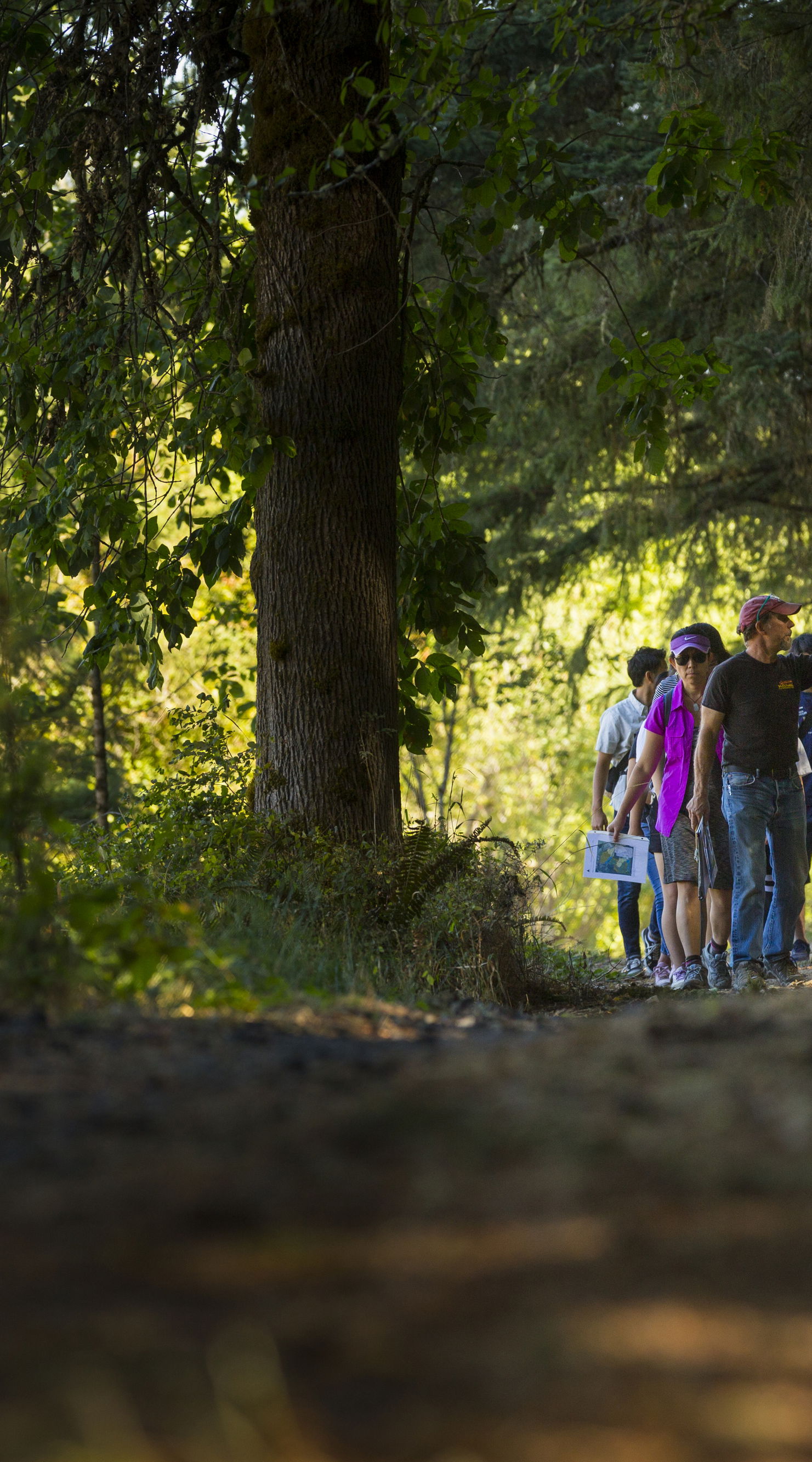 Students and families walking in Zena Forest