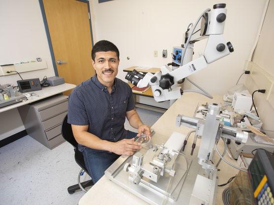 Person sitting at a lab workstation with a microscope.